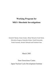 Working Program for MIZ-1 Borehole Investigations(PDF