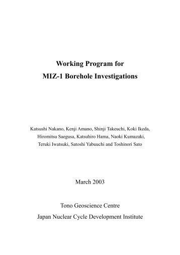Working Program for MIZ-1 Borehole Investigations(PDF