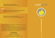 Lichtblick-Netz