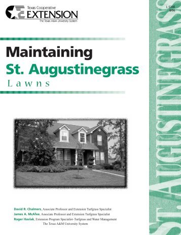 Maintaining St. Augustine Grass Lawns - McLennan