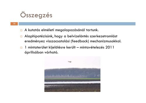 a belvíz kialakulásának talajtani okai és következményei dél-alföldi ...