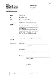 KF protokoll 2012-05-28.pdf - SollefteÃ¥ kommun
