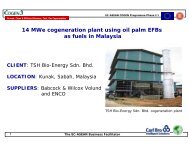 TSH powerpoint.ppt - cogen 3