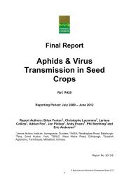 R428 Aphid Virus FINAL - Potato Council