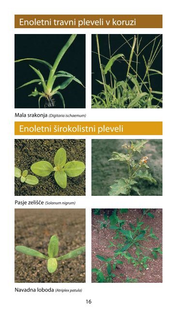 Katalog sredstev za varstvo rastlin v poljedelstvu - Cinkarna Celje