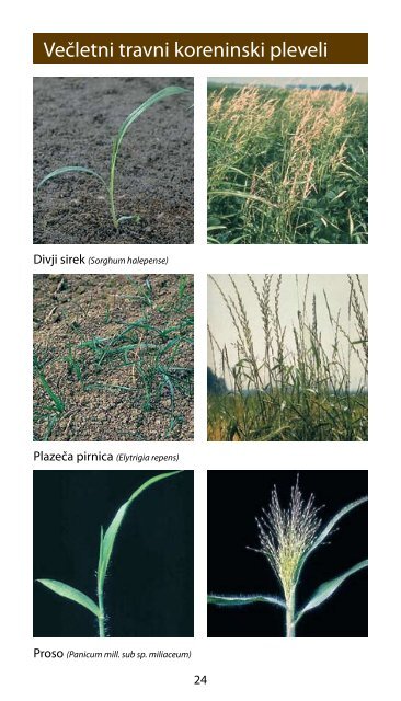 Katalog sredstev za varstvo rastlin v poljedelstvu - Cinkarna Celje