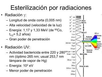 EsterilizaciÃ³n por radiaciones