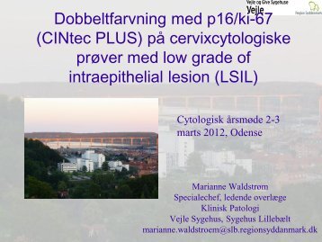 Ki67-p16 pÃ¥ LSIL - Dansk Cytologiforening
