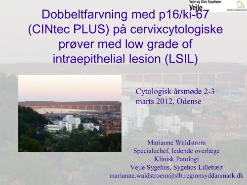 Ki67-p16 pÃ¥ LSIL - Dansk Cytologiforening