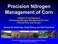 Precision Nitrogen Management of Corn - Cornell University ...