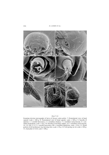 Landry et al. 2006.pdf - Webspace