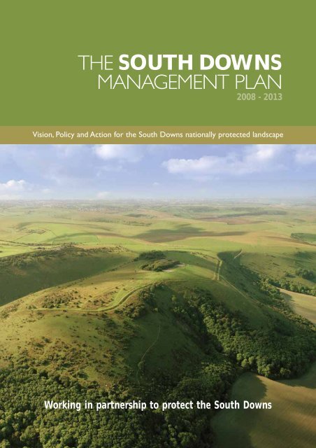 south downs infrastructure business plan