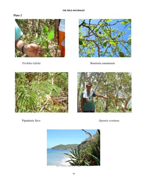 Vol 2 - The Trinidad and Tobago Field Naturalists' Club