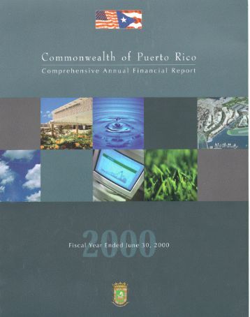 3 forms 480 6c co commonwealth of puerto rico