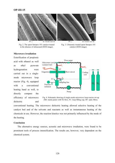 Boreskov Institute of Catalysis of the Siberian Branch of Russian ...