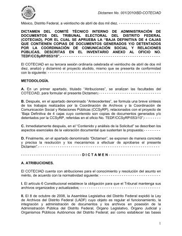 DictÃ¡menes de Baja Documental - Tribunal Electoral del Distrito ...