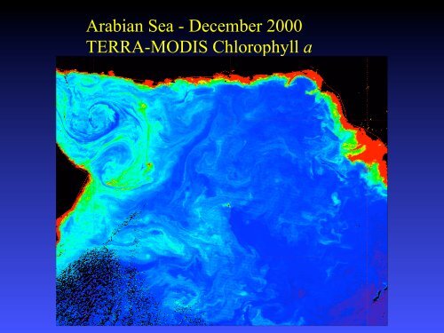 Worth Nowlin - Gulf of Mexico Coastal Ocean Observing System ...