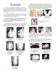 Body Types - the American Dwarf Hotot Rabbit Club