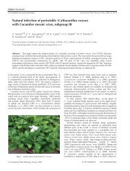 Natural infection of periwinkle (Catharanthus roseus ... - CIMAP Staff