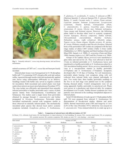 Natural infection of periwinkle (Catharanthus roseus ... - CIMAP Staff