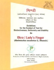 Okra /Lady's Finger - Protection of Plant Varieties & Farmers