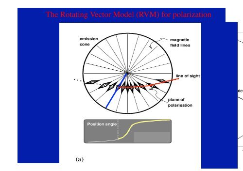 Radio Pulsar Phenomenology: What can we learn from pulsar profiles?