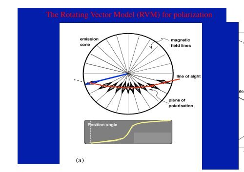 Radio Pulsar Phenomenology: What can we learn from pulsar profiles?