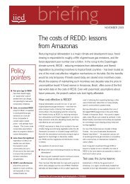 The costs of REDD - IIED pubs - International Institute for ...