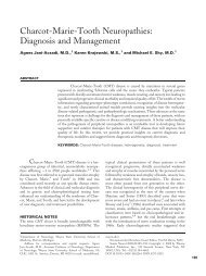 Charcot-Marie-Tooth Neuropathies: Diagnosis and Management