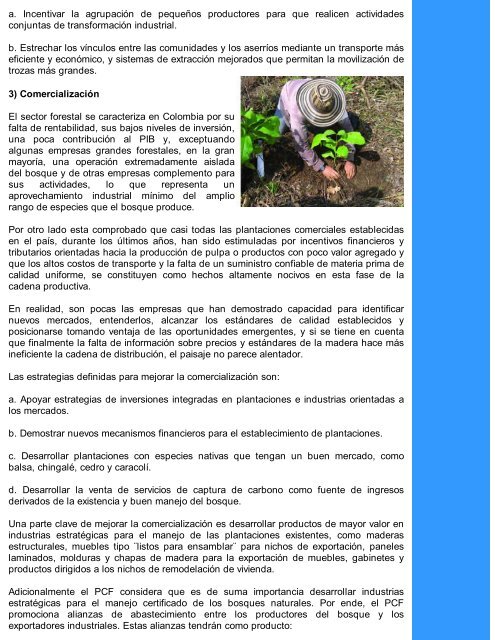 Mercados Programa Colombia Forestal â€“ PCF - Revista El Mueble y ...