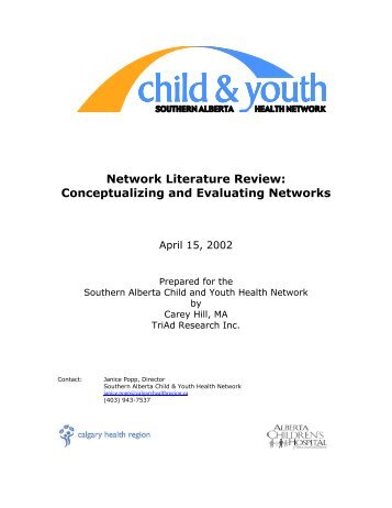 Network Literature Review: Conceptualizing and Evaluating Networks