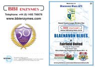 Blaenavon Town Council Blaenavon Blues AFC - Pitchero