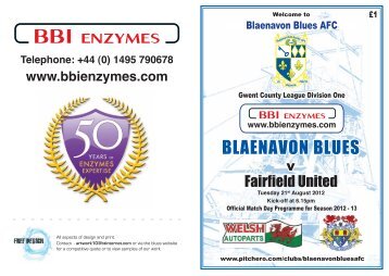 Blaenavon Town Council Blaenavon Blues AFC - Pitchero