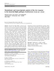 Metabolomic and transcriptomic analysis of the rice response to the ...