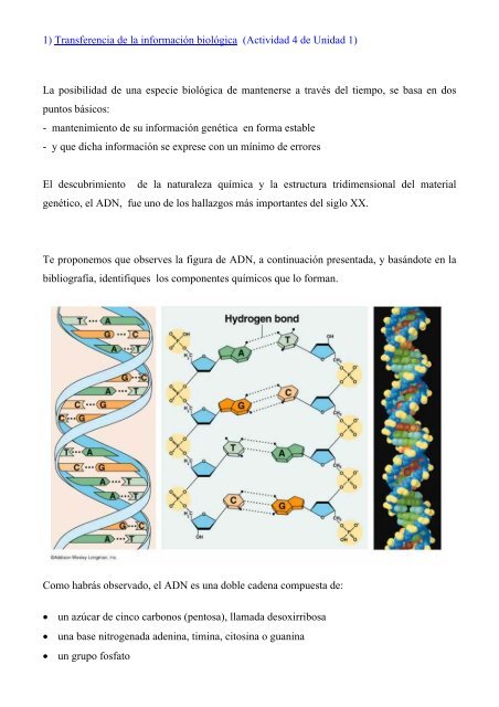 1) Transferencia de la informaciÃ³n biolÃ³gica (Actividad 4 de Unidad ...