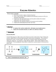 Enzyme Kinetics