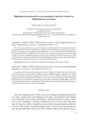 Rigidoporus pouzarii, a new polypore species related - CZECH ...