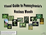 Pennsylvania Noxious Weeds