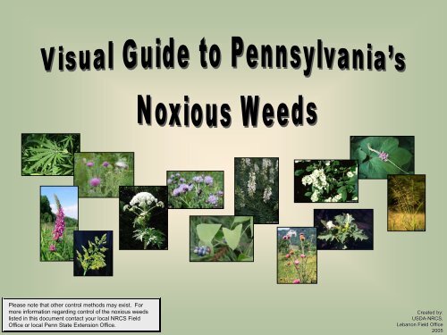 Pennsylvania Noxious Weeds