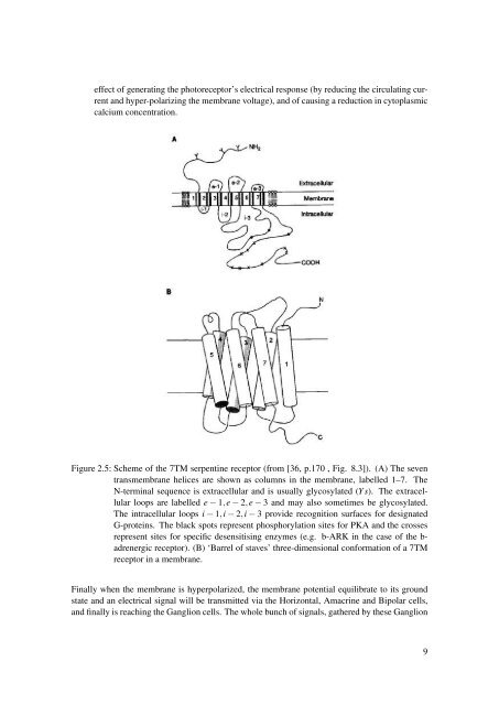 Diffusion Processes with Hidden States from ... - FU Berlin, FB MI