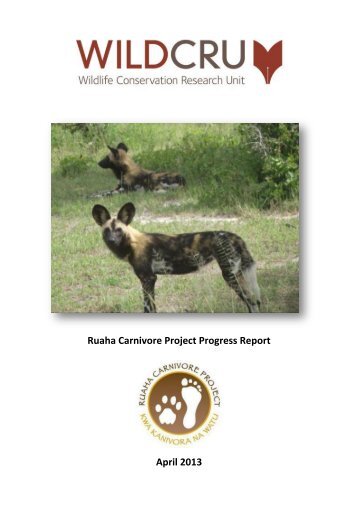 full report - Saving Big Cats and Wild Dogs