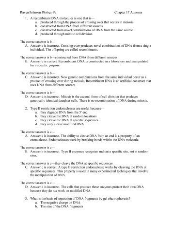 my plan for future essay hindi