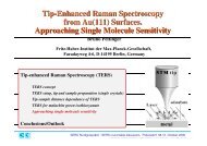 Tip-enhanced Raman Spectroscopy from Au(111)