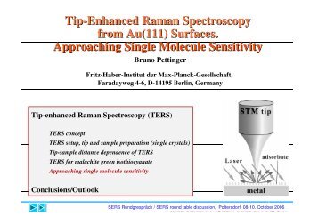 Tip-enhanced Raman Spectroscopy from Au(111)