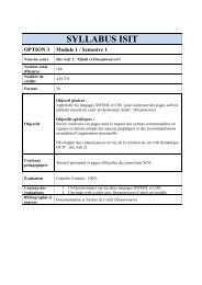 SYLLABUS ISIT OPTION 3 Module 2