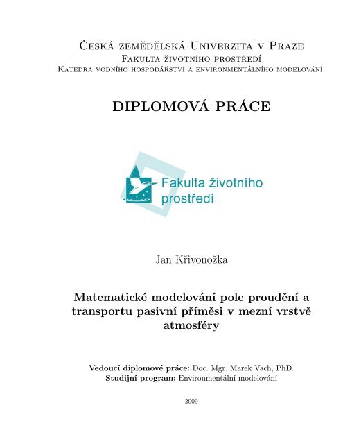 DiplomovÃ¡ prÃ¡ce â MatematickÃ© modelovÃ¡nÃ­ pole proudÄnÃ­ ... - kvhem