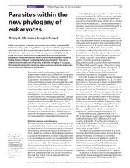 Parasite within the new phylogeny of eukaryotes - IRD