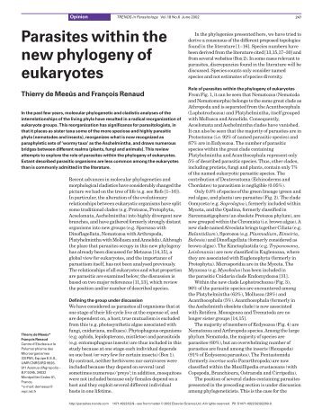 Parasite within the new phylogeny of eukaryotes - IRD