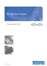 W cast iron motors - Brook Crompton
