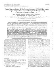 Tumor Necrosis Factor (TNF) - Integrated DNA Technologies